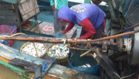 Cuaca Buruk, Pasokan Ikan Laut Segar di Pantura Subang Berkurang