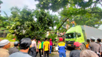 Pohon Tumbang Timpa 3 Mobil di Alun-alun Singaparna Tasikmalaya