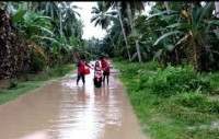 Sembilan Desa Terendam Banjir di Kabupaten Tanggamus