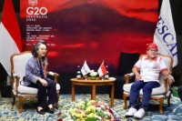Mendag Zulhas Apresiasi Masukkan UNESCAP di TIIMM G20 Bali