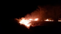 18 Jam Terbakar, Satu Wilayah di Taman Nasional Way Kambas Berhasil Dipadamkan