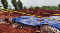 Polisi Hentikan Kasus Kuburan Bansos di Depok 