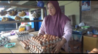 Harga Telur Semakin Meroket, Pemkab Konawe Akan Beri Subsidi ke Distributor