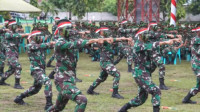 850 Prajurit TNI Batalyon 713 Satya Tama, Tugas Operasi Ke Kongo