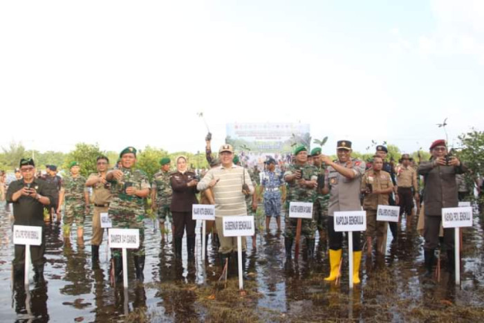 Cegah Abrasi, TNI Tanam 2.500 Bibit Mangrove di Bengkulu Serentak Se-Indonesia