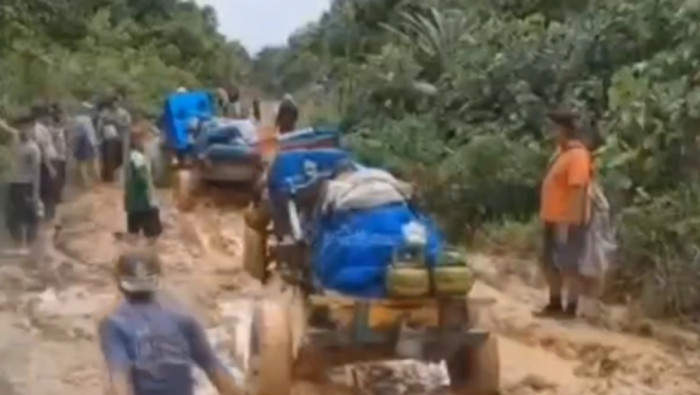 Gerobak Sapi Jadi Alternatif KPU Pesibar Distribusikan Surat Suara ke Wilayah Terpencil