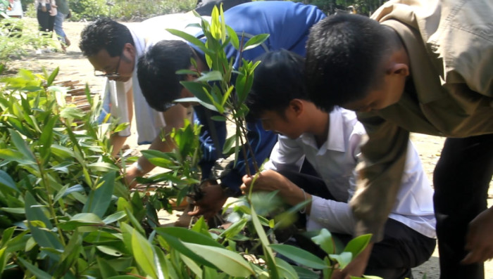 Wujudkan Atensi Presiden Jokowi, Masyarakat Perbatasan RI-Malaysia Tanam 1.000 Mangrove