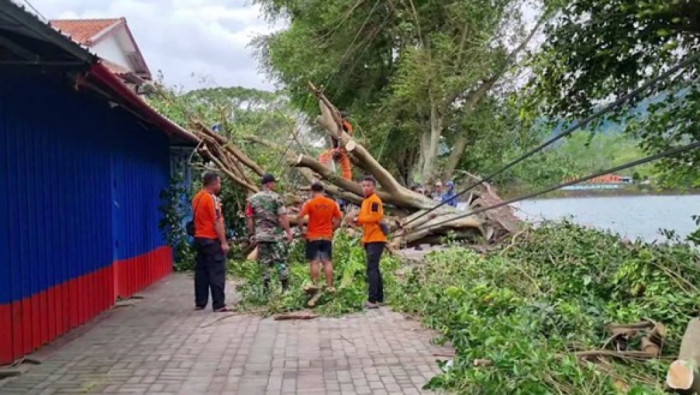 Angin Kencang Rusak Pos Pengamanan Nataru dan Tumbangkan Puluhan Pohon di Area Telaga Sarangan