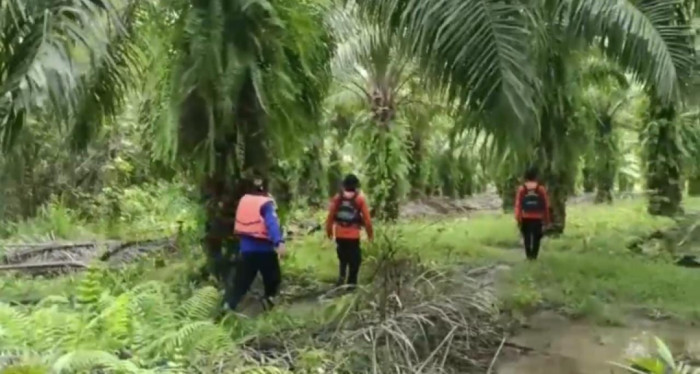 Hilang di Kebun, Warga Konut dalam Pencarian Tim SAR