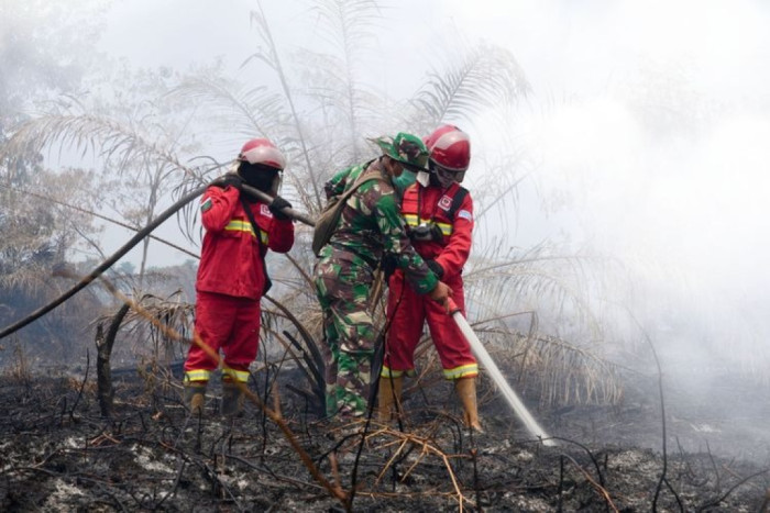 Government Tightens Forest and Land Fire Extinguishing Operations in Kalimantan and Sumatra