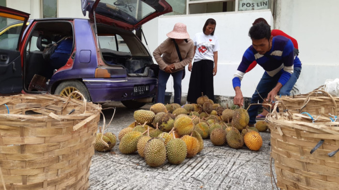 Ekspor Produk Pertanian ke Malaysia Meningkat Drastis