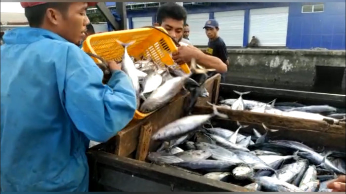 Nelayan Enggan Melaut, Berdampak Harga Ikan Melambung Tinggi  