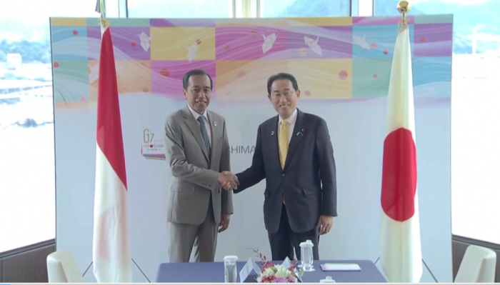 5 RI-Japan Cooperations in Nusantara Development Project