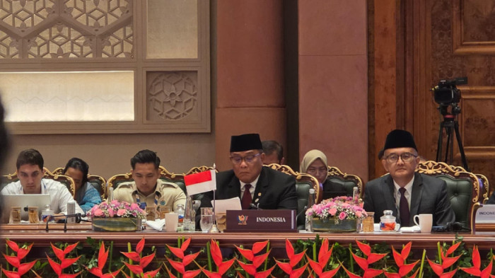 Indonesia Encourages BRICS Role in Safeguarding Global Environment