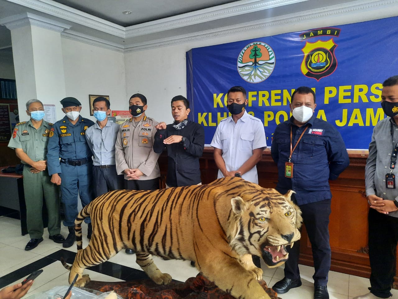 Petugas Ringkus Tiga Penjual Harimau Sumatera yang Diawetkan dan Gading Gajah di Jambi