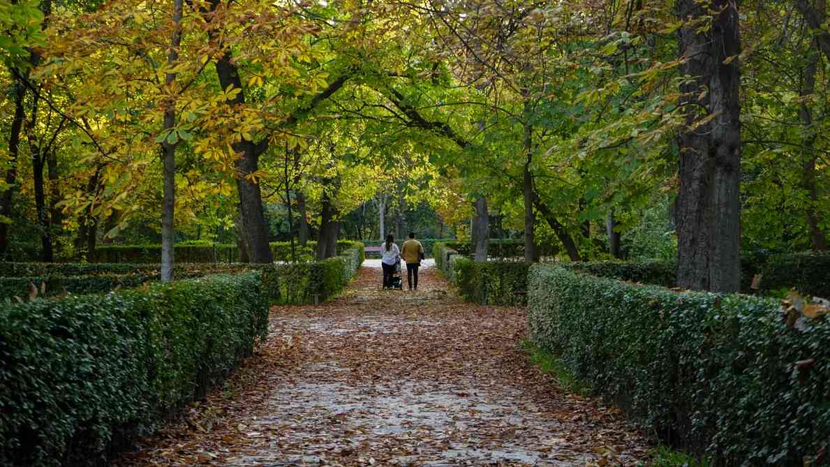 Paseo del Prado dan Taman Retiro Madrid Ditetapkan Sebagai Warisan Dunia Versi Unesco