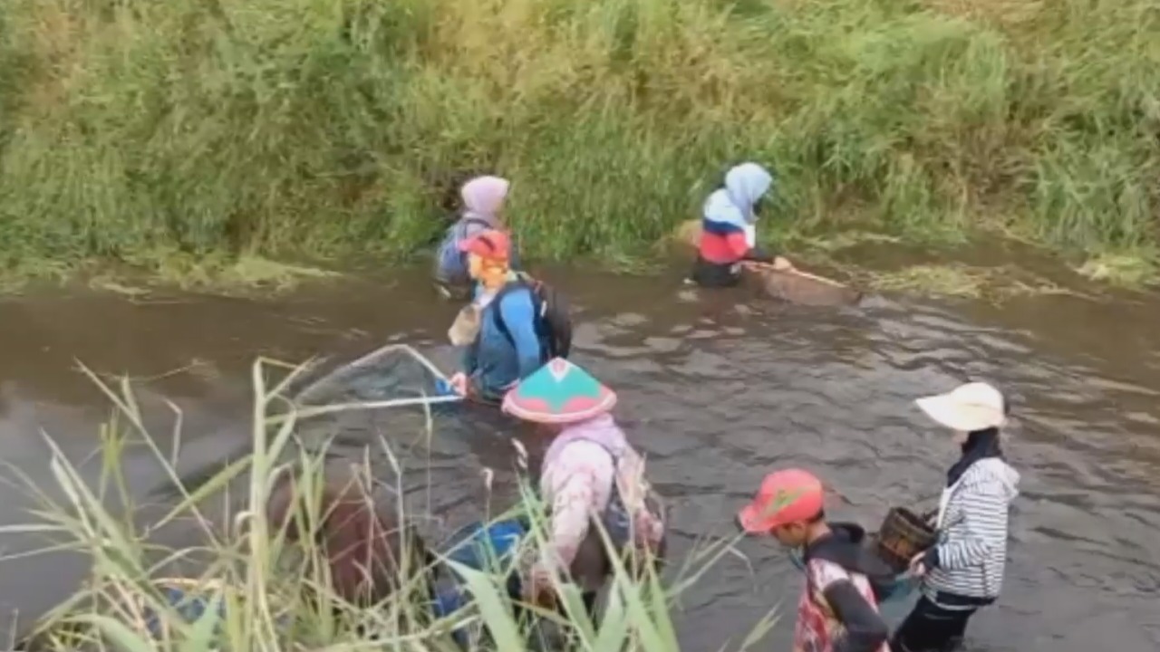 Ratusan Warga Ikuti Nangguk Massal di Lubuk Larangan