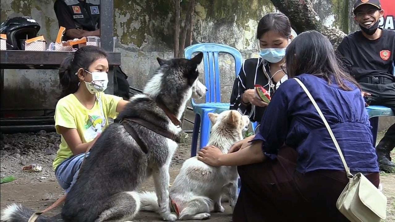 Dinas Pertanian Kota Mataram Target 1.500 Vaksin Rabies Tahun Ini