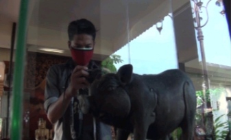 Celengan dari Zaman ke Zaman Sejak Abad 13 Masehi