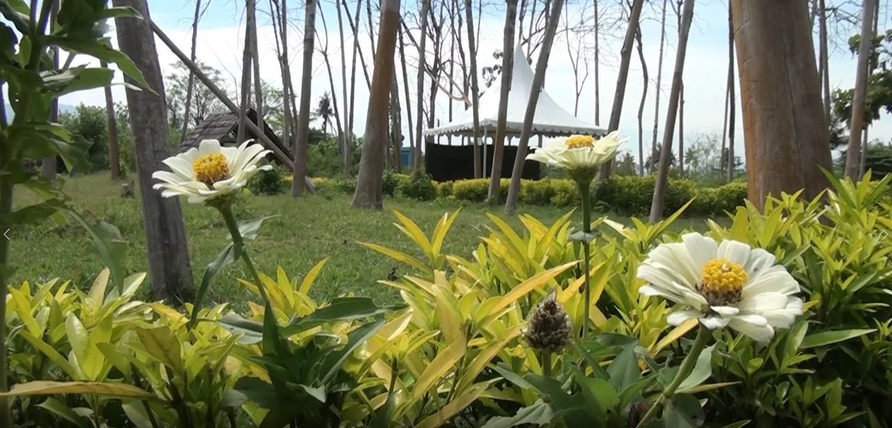 Taman Jati Tempat Wisata di Sigi