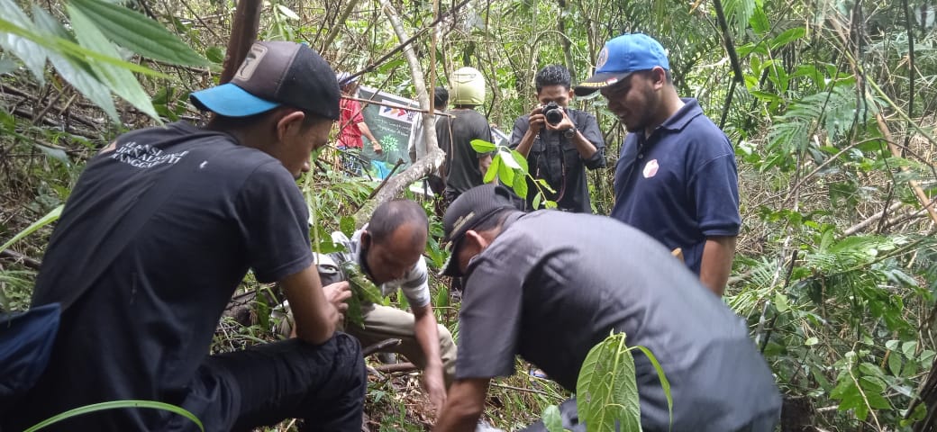 Peringati Hari Pers Nasional, Aliansi Jurnalis Online Manggarai Timur Tanam Ratusan Anakan Pohon Ara.