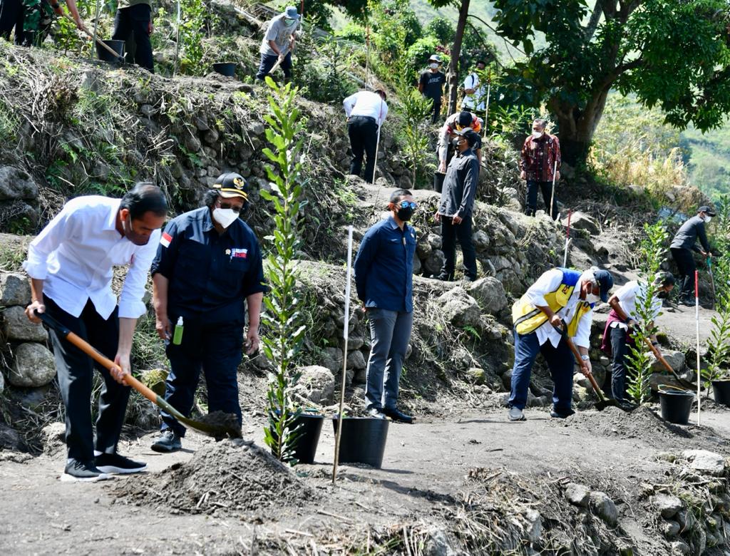Presiden Jokowi Tanam Pohon di Desa Simangulampe Bersama Masyarakat