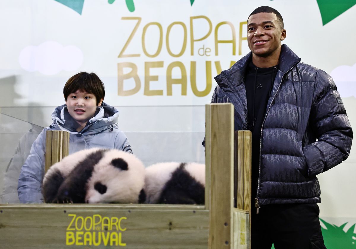 Pesepak Bola Mbappe dan Juara Olimpiade Zhang Jiaqi Jadi Ayah Baptis Anak Panda