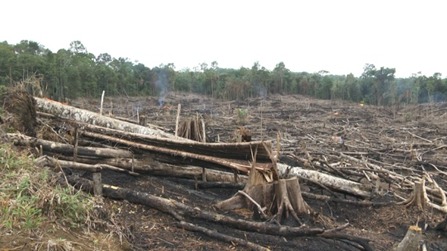 3 Titik Api Terpantau di Pancung Soal Sumatera Barat