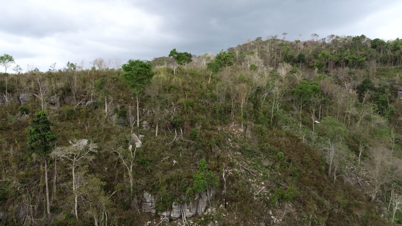 7 Tahun Jalan di Tempat, Polres Mabar Kembali Dalami Kasus Perambahan Hutan Bowosie