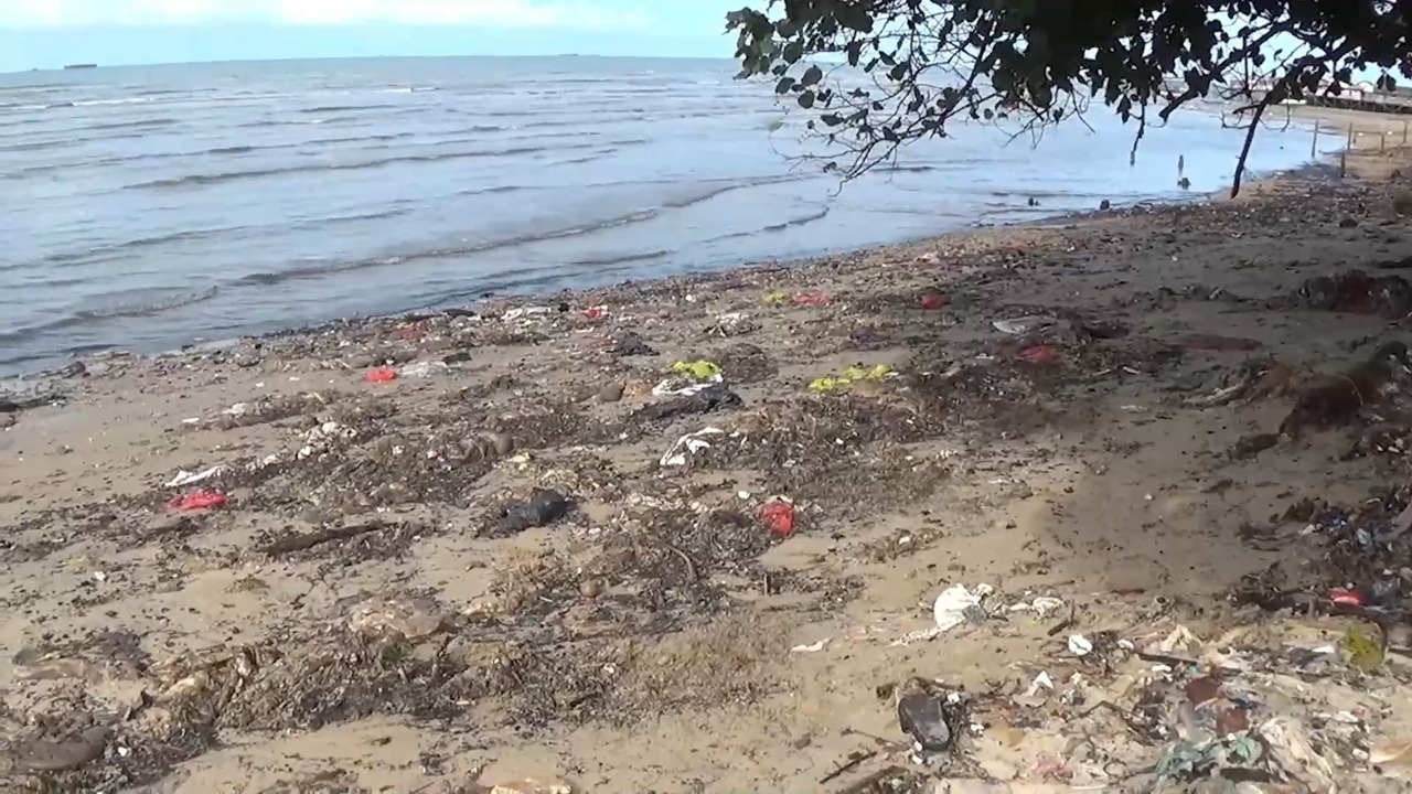 Jeroan Hewan Kurban Cemari Pantai Sepinggan Balikpapan