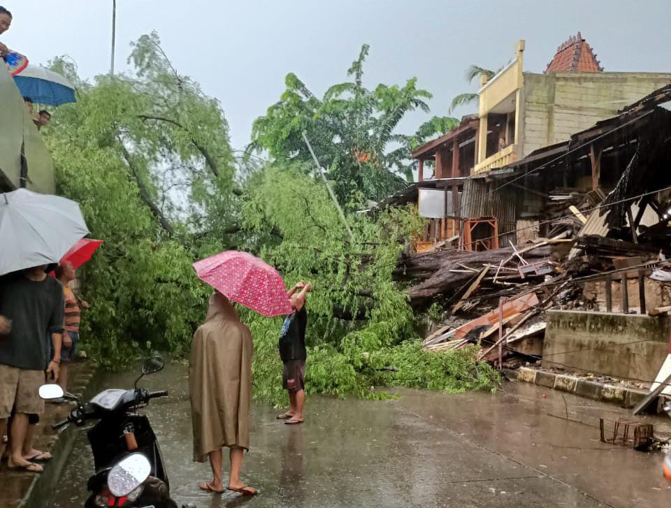 Cuaca Ekstrem, Pohon Tumbang Tutup Beberapa Jalan di Jakarta